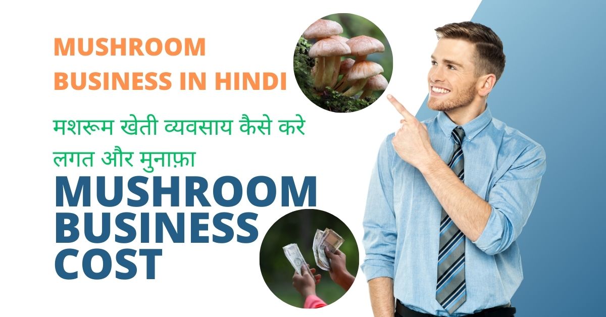 Mushroom Business in Hindi