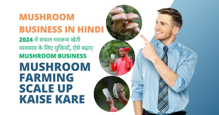 Mushroom Farming Scale up kaise kare